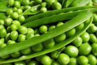 Зеленый горошек: польза и вред для организма человека.