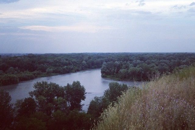 В одну из главных рек Чечни - Терек тяжёлые металлы попадают из соседних республик 