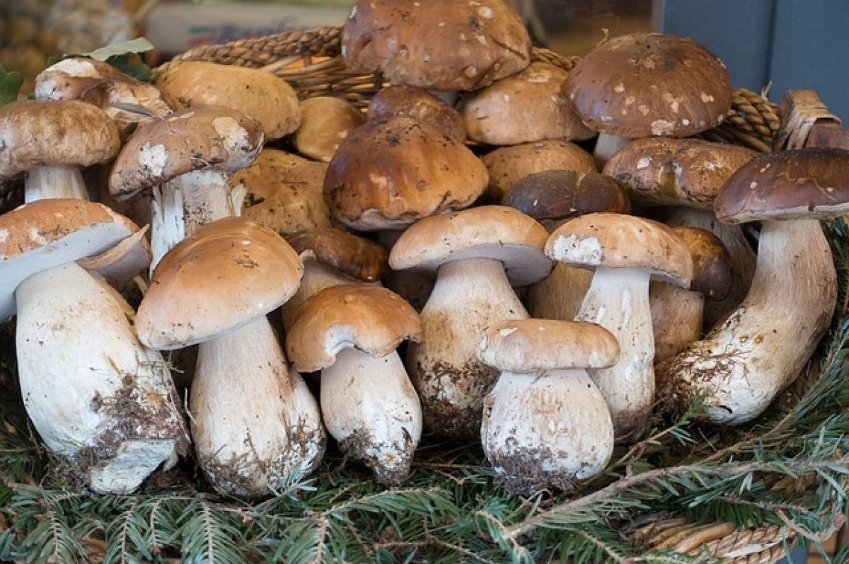 Картошка с белыми грибами в духовке