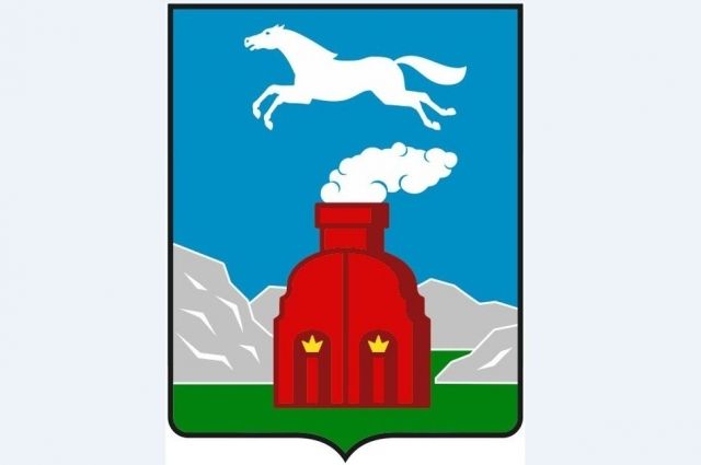 Герб – знак правовой. В Барнауле обсуждают изменение официального символа