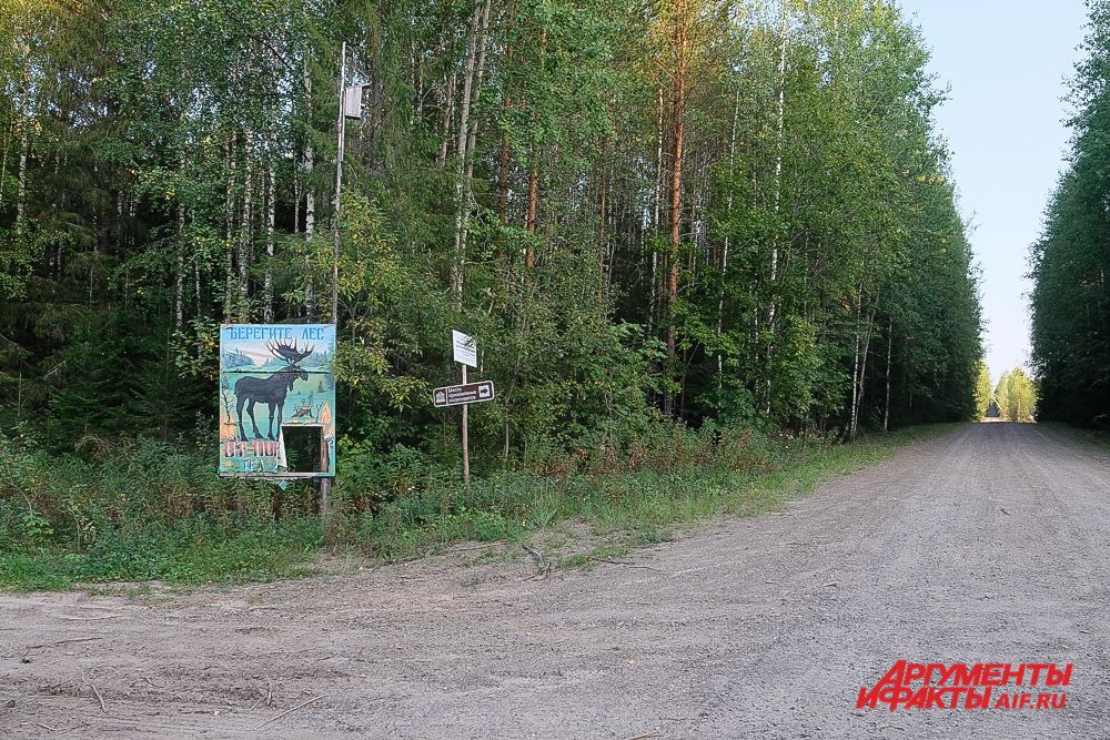 Место приземления космонавтов Беляева и Леонова в Прикамье.