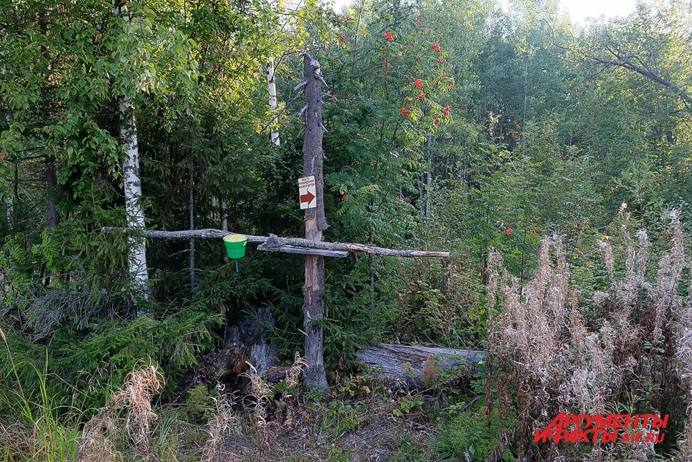 Место приземления космонавтов Беляева и Леонова в Прикамье.
