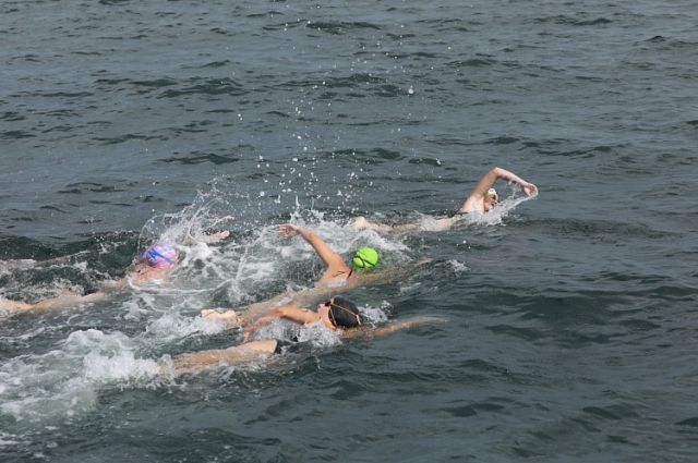 Во Владивостоке стартовали соревнования по плаванью на Кубок губернатора