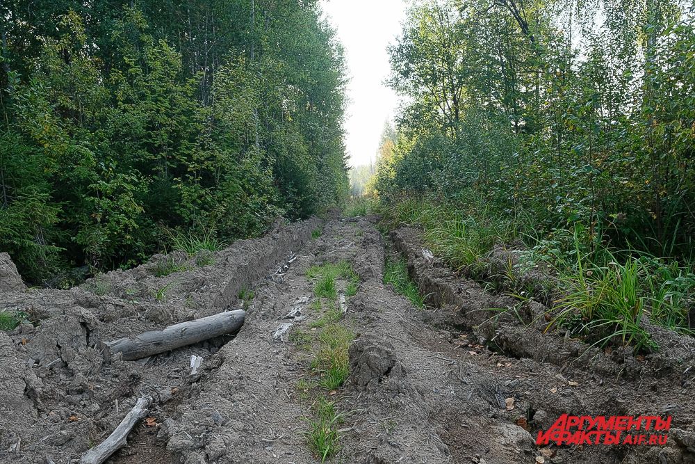 Место приземления космонавтов Беляева и Леонова в Прикамье.