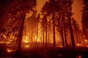 В Калифорнии пылают лесные пожары: огонь подбирается к курортам