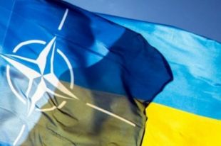 В НАТО рассказали, внедрение каких реформ ждет от Украины Альянс