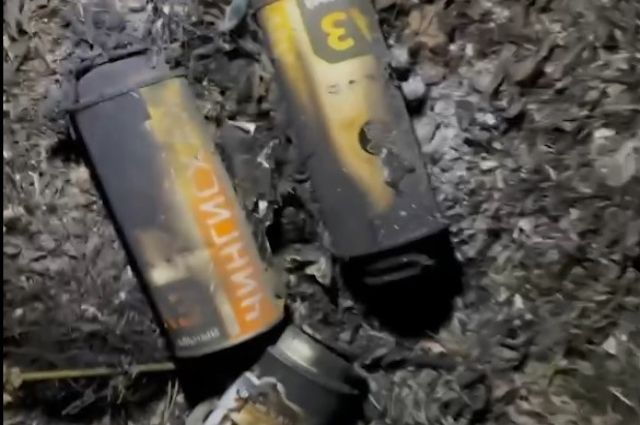 В очаге пожара под Екатеринбургом найдены газовые баллончики поджигателей