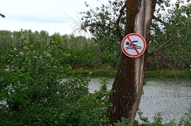 В Саракташском районе местные жители извлекли из озера тело утопшего.