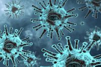 В Оренбуржье за сутки коронавирус выявили у 344 человек.