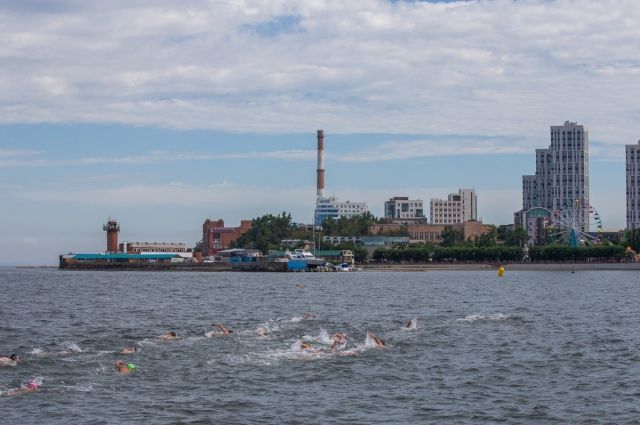 В столице разыграли кубок губернатора Приморья по плаванию на открытой воде