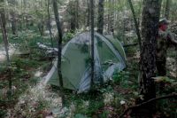 Женщину и ребенка обнаружили в палатке в лесу.