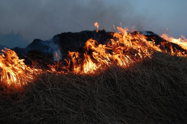 В Тюменской области ликвидировали лесной пожар на площади 20 га
