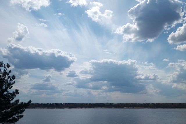 В Удмуртии побит рекорд минимума воды на реке Нылга