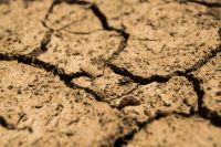Засуха 2021 года в Оренбуржье уничтожила 13% посевов на почти 3 миллиарда рублей.