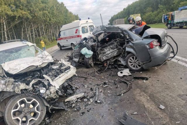 «Стрелка замерла на 200 км/ч»: фото смертельного ДТП Audi под Новосибирском