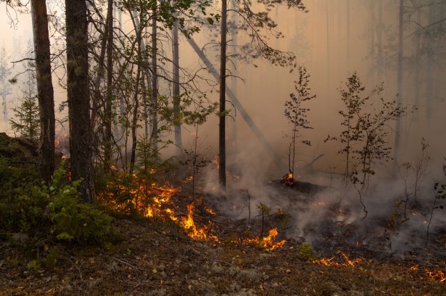 В Козыревске на Камчатке введен особый противопожарный режим