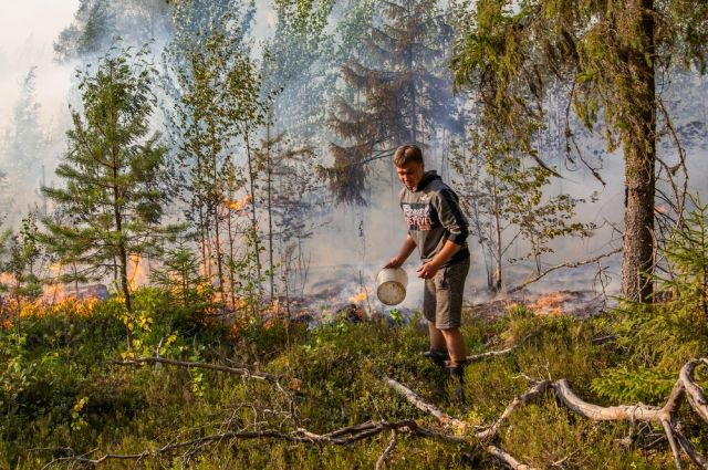 Стало известно, каким деревням в Омской области чаще угрожают лесные пожары