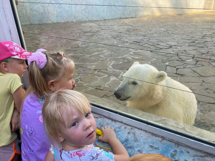 Девятимесячный медвежонок Айка играется с гостями зоопарка. 