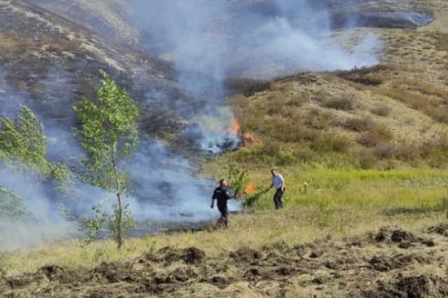 Пожарные тушат возгорание леса и сухой травы на участке перегона станций Каргала-Газовая ЮУЖД. 