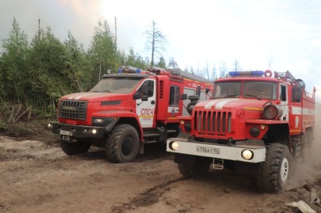 В Нижегородской области продолжаются работы по ликвидации лесных пожаров