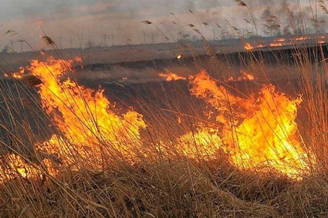 Природный пожар в СНТ «Буровик» под Оренбургом локализован.