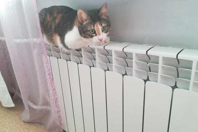 Кемеровские власти сообщили, когда в домах дадут отопление