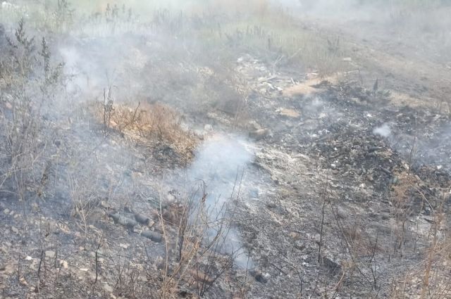 В Красноармейском районе горели поля и лес