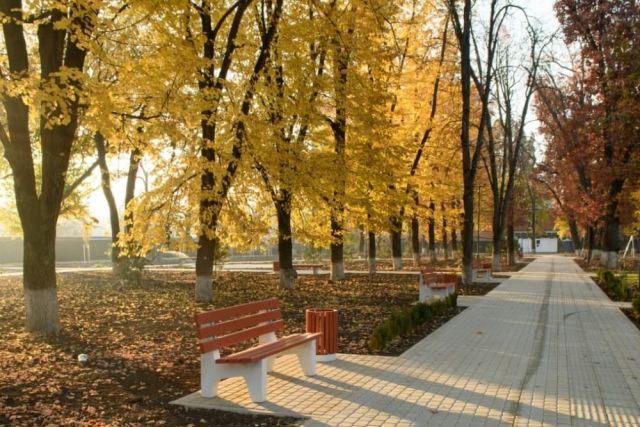 Синоптики пояснили, когда в Краснодарском крае наступит календарная осень