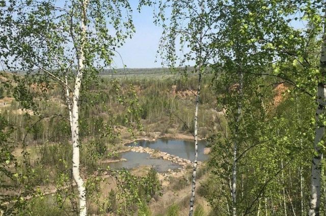 4 сентября в тульском парке «Некрасово» пройдёт забег