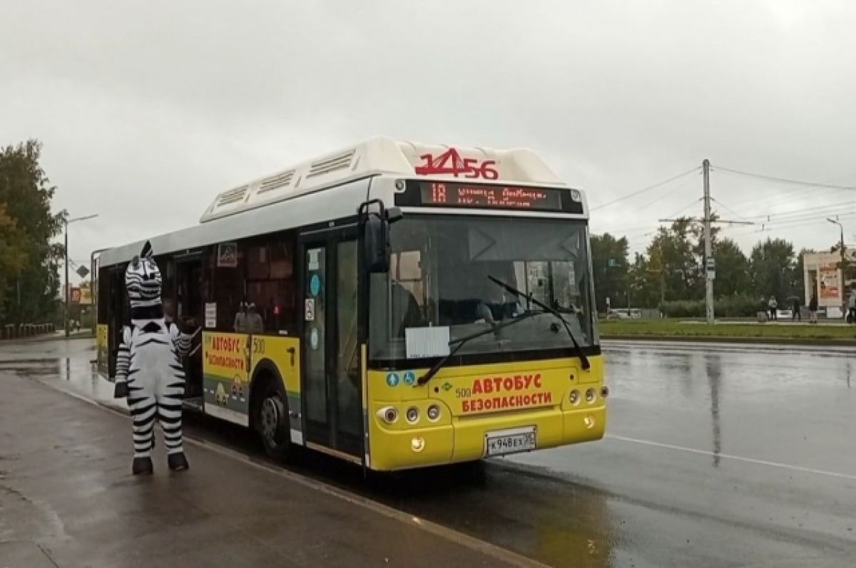 По улицам Вологодской области курсирует агитационный автобус по ПДД | АиФ  Вологда