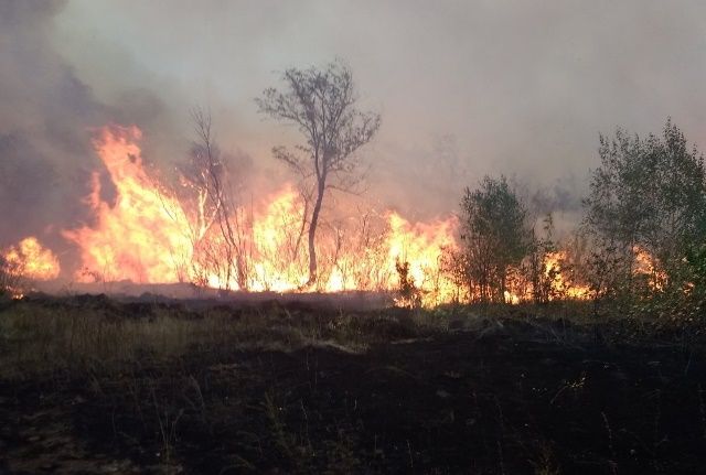 Ландшафтный пожар произошёл рядом с посёлком в Челябинской области