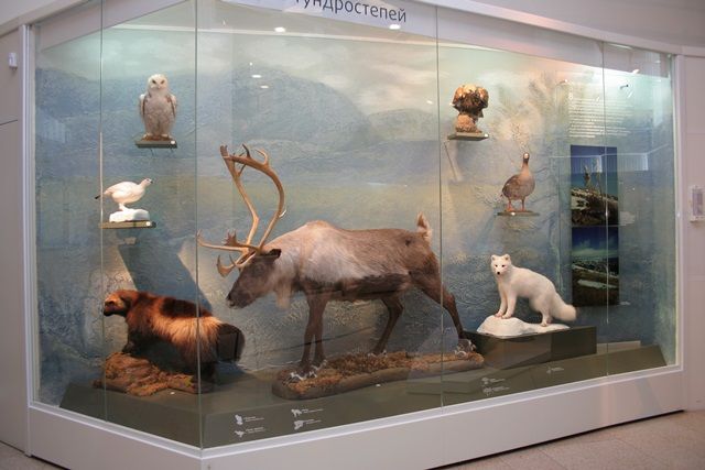 Челябинский музей будет проводить экологические уроки для школьников