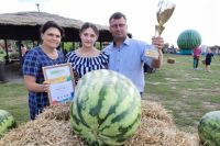 Фермер из Оренбургской области вырастил арбуз весом 67 кг. 100 г. 