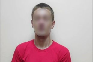 «Зашел спросить, нет ли его матери»: под Киевом парень изнасиловал соседку