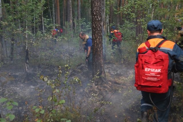 О ситуации с лесными пожарами рассказал Евгений Куйвашев