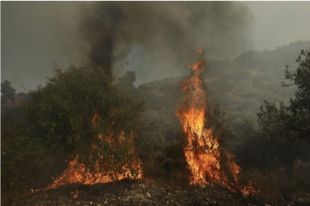 В Греции горит лес на горе Афон