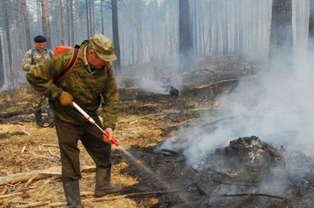В Хабаровском крае горит три лесных пожара