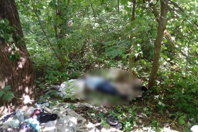 В лесопарковой зоне на ул. Шолмова в Ульяновске нашли тело бродяги