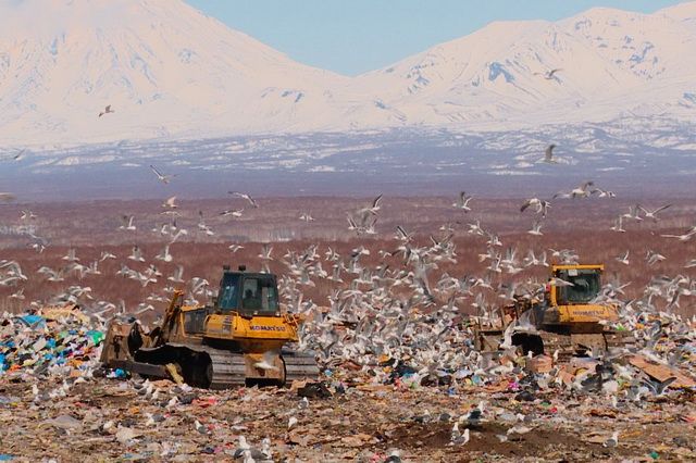 Новый полигон с мусороперерабатывающим заводом построят на Камчатке