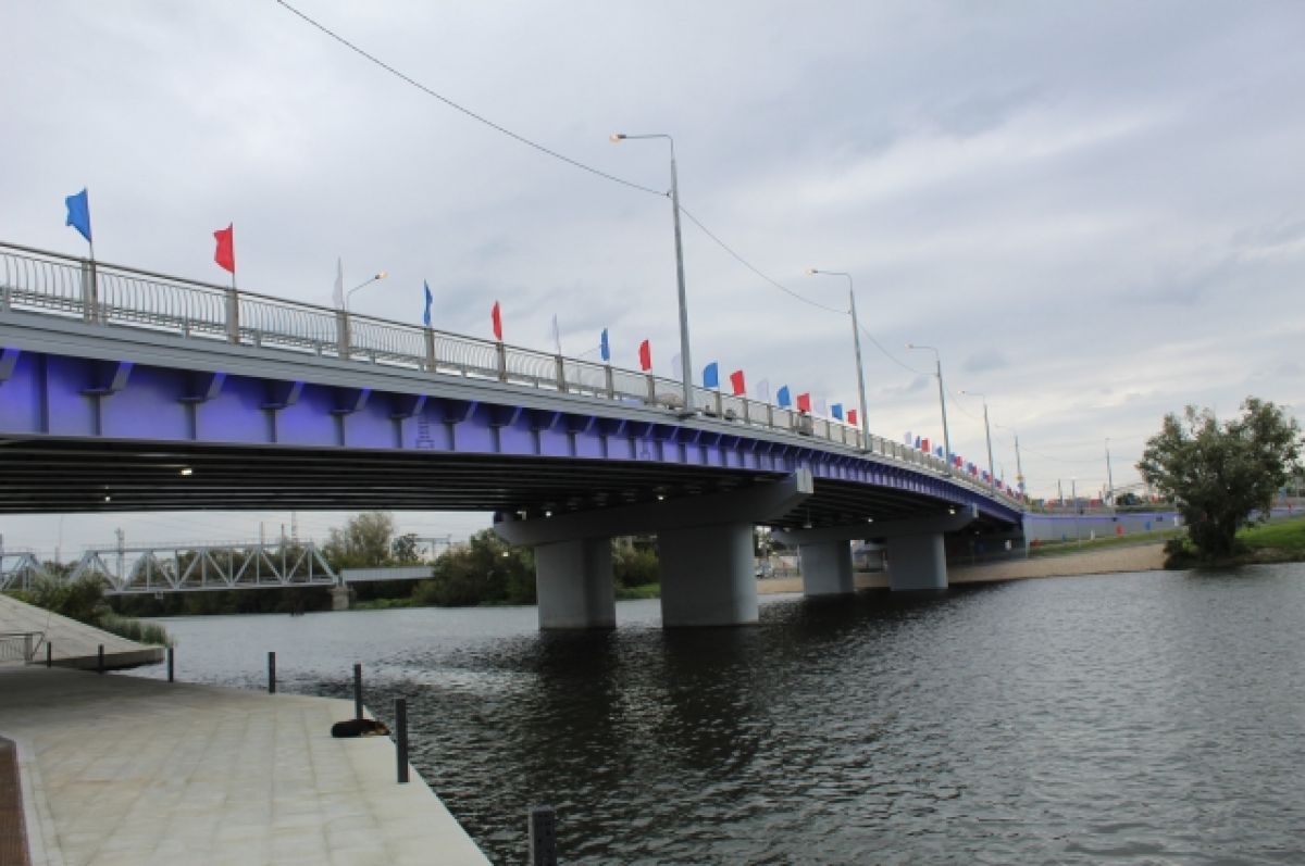 Бакунинский мост