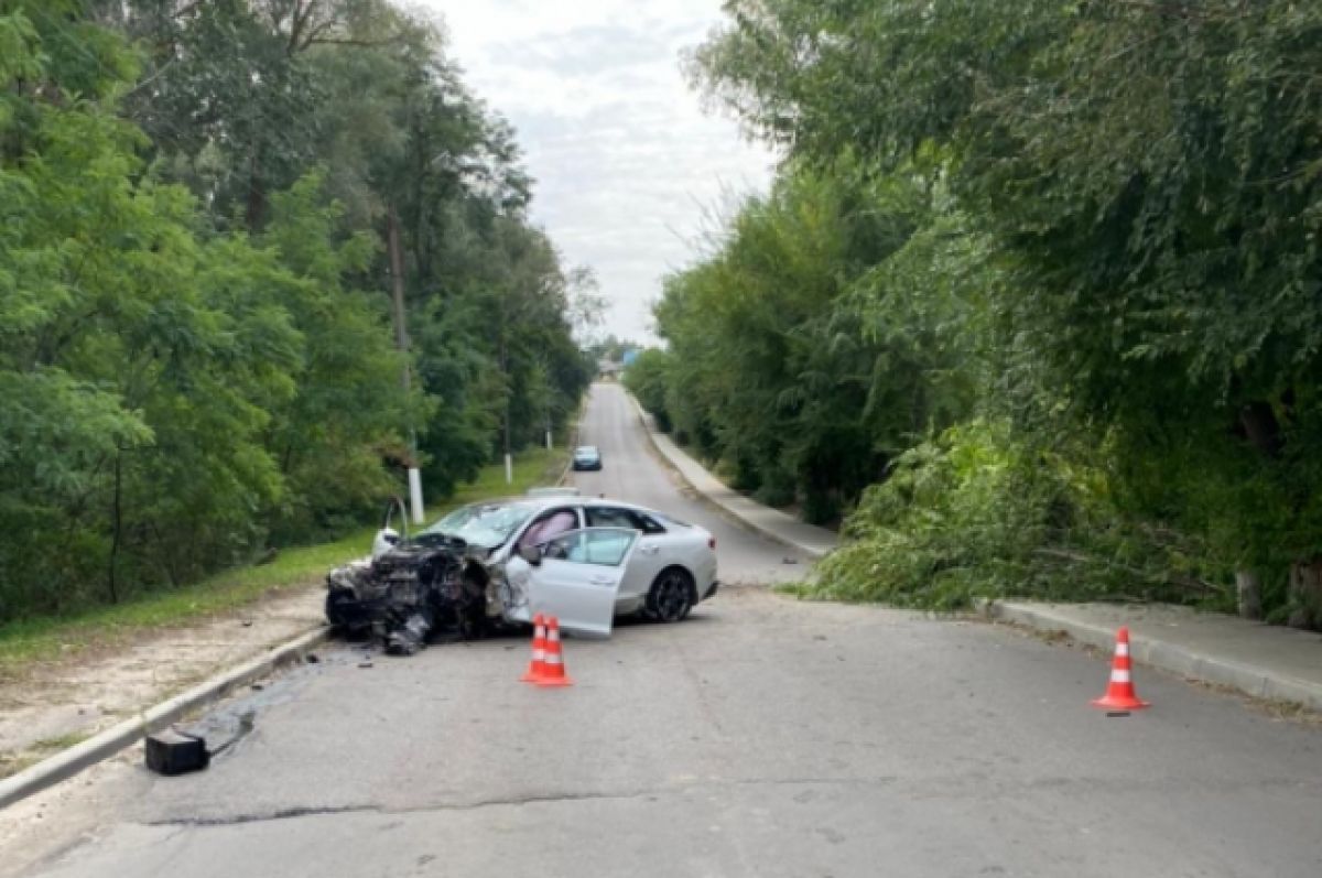 В Воронежской области 17-летний водитель на Kia влетел в дерево | АиФ  Воронеж