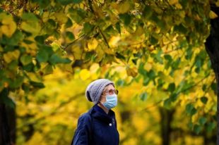 COVID-19. Введение локдауна – на паузе и послабление требований к учителям.