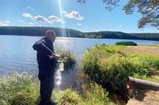Проблема загрязнения озера в Реже была решена во время прямой линии.