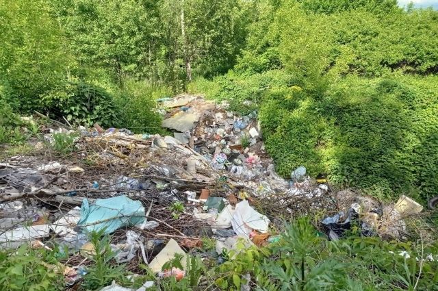 Недалеко от Тулы экологи обнаружили свалки строительного мусора