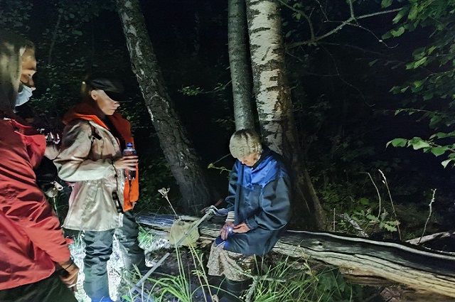 За неделю в лесах Владимирской области заблудилось 48 человек