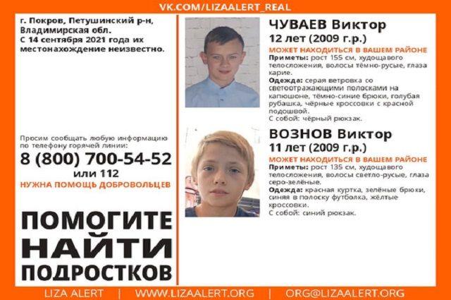 Во Владимирской области с 14 сентября разыскивают двух мальчиков