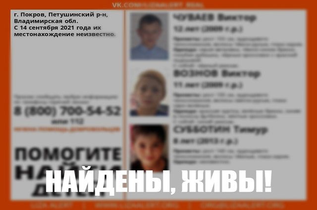 Трое пропавших мальчиков найдены живыми во Владимирской области