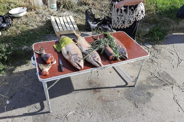 Рыбу в Хабаровске продают без документов и с нарушением норм хранения