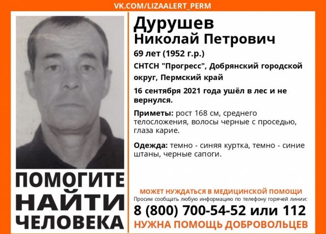 В Пермском крае разыскивают пожилого мужчину, потерявшегося в лесу