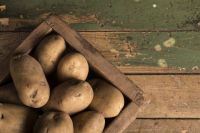 В Оренбургской области завершается уборка картофеля.